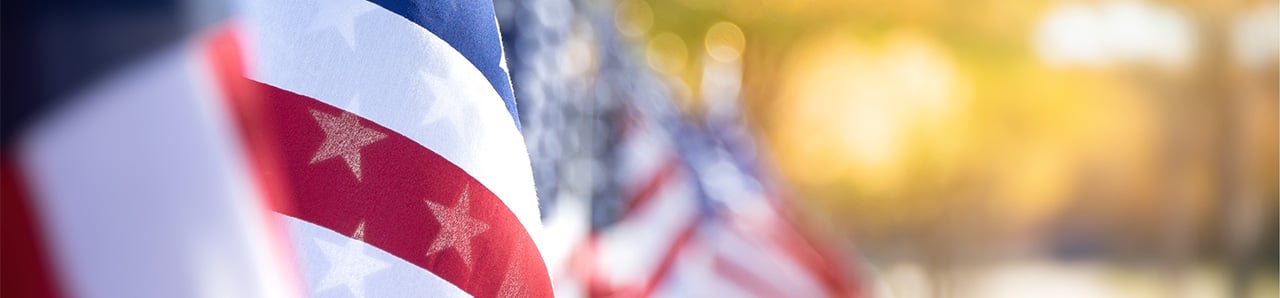 Cropped image of American flags lined up in a park