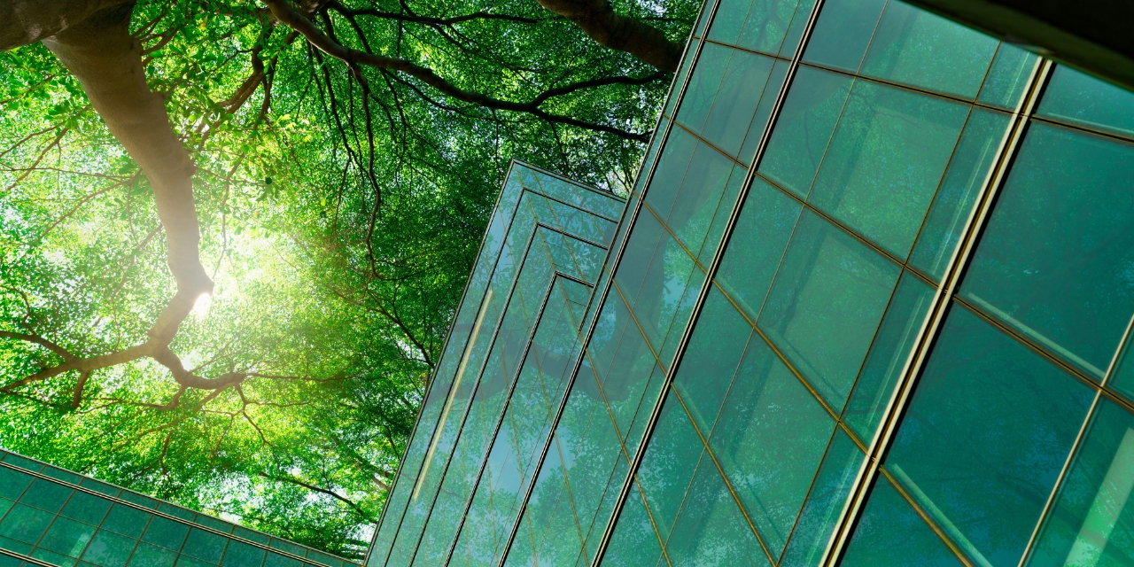 Photo of trees and a building with glass windows from the viewpoint of someone standing on the ground looking up