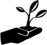 Image of hand holding a plant