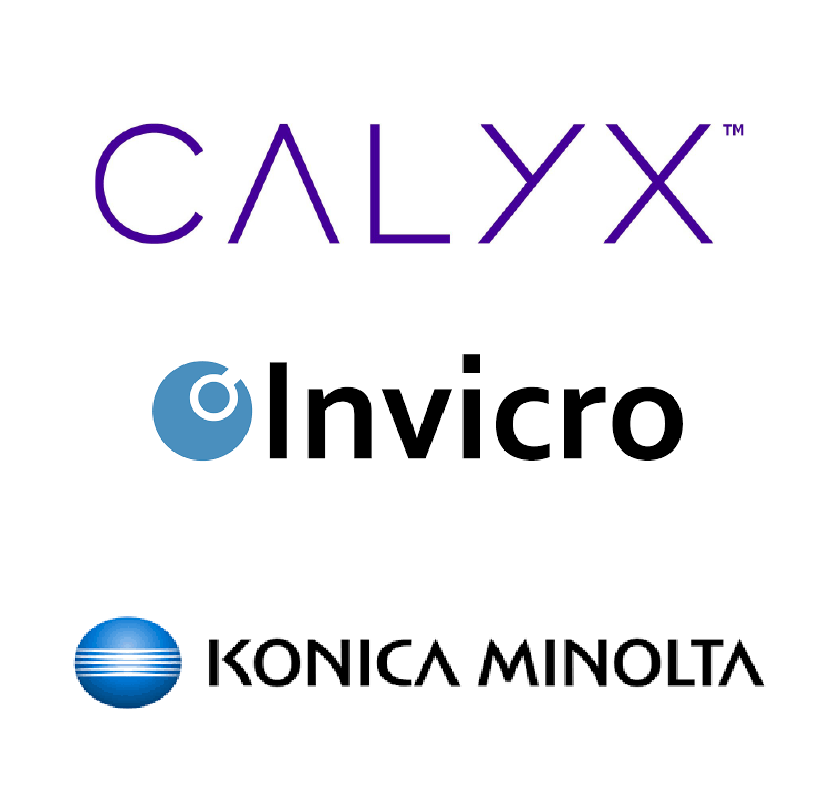 Calyx Services Inc.
