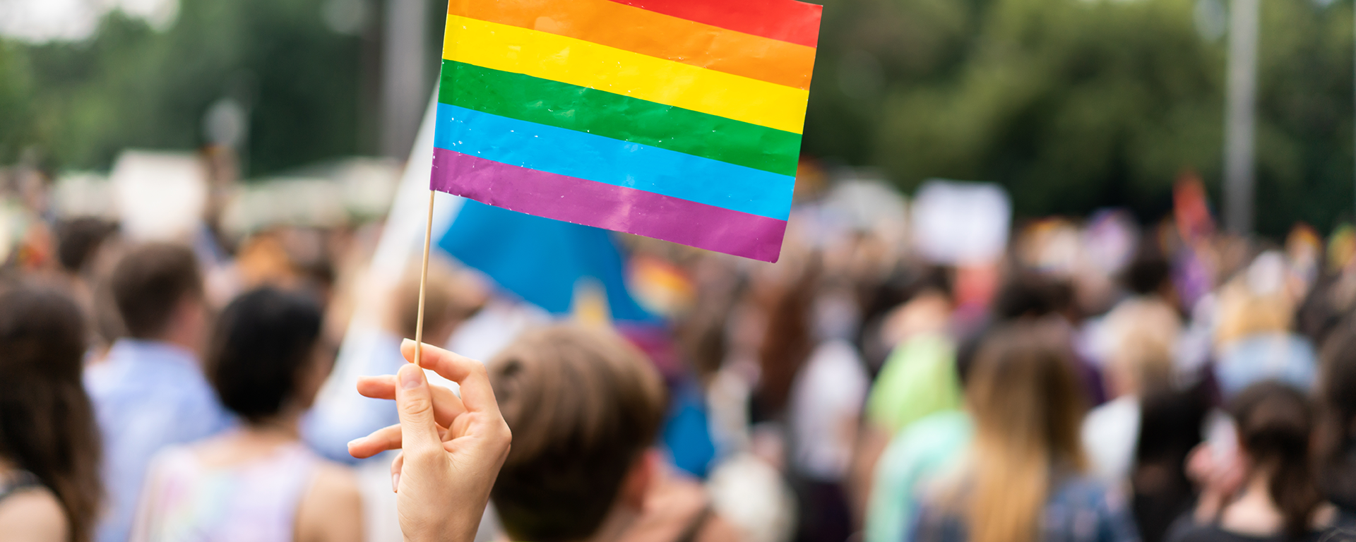 A hand holding a rainbow flag stands out in focus against a crowd of people in the background