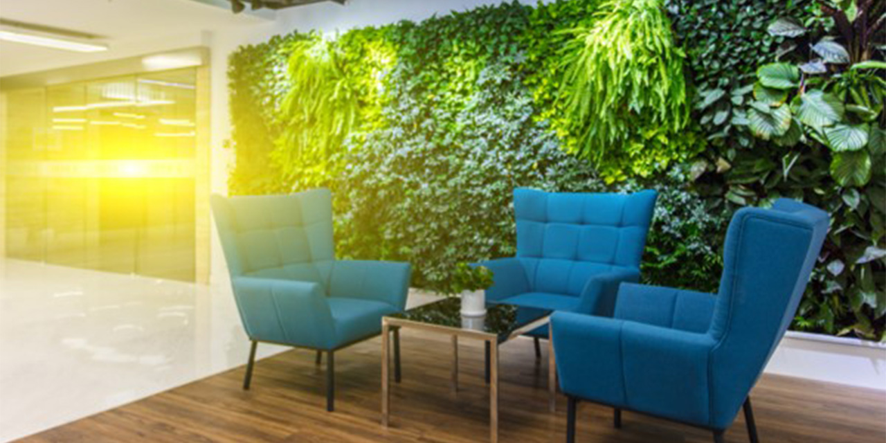 image of an office lobby with three chairs around an end table in front of a wall of plants