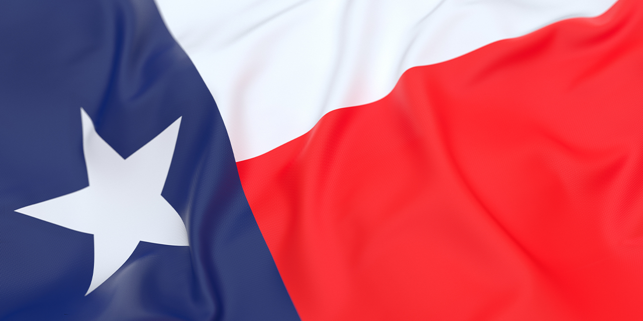 Image showing a portion of the flag for the state of Texas.