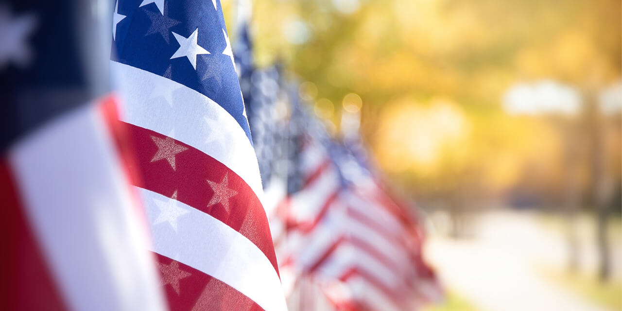 Abstract image of American flags lined up in a park