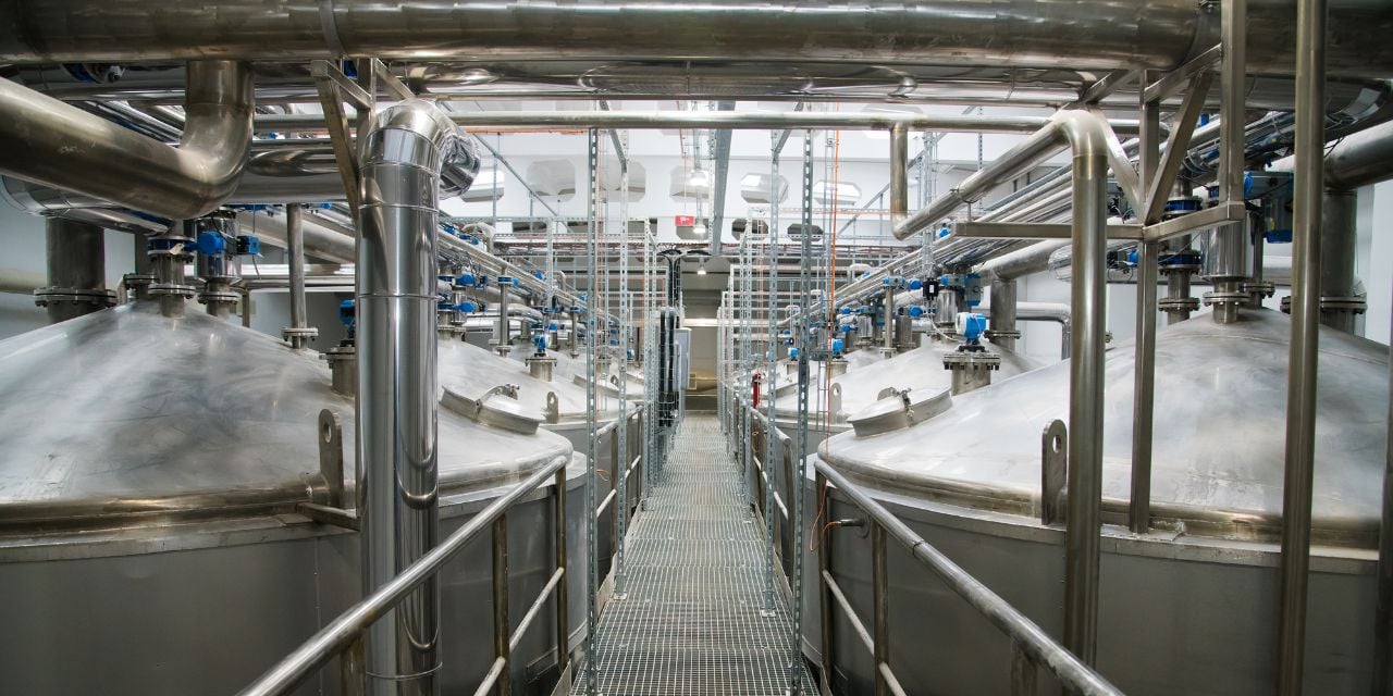 Grain processing plant