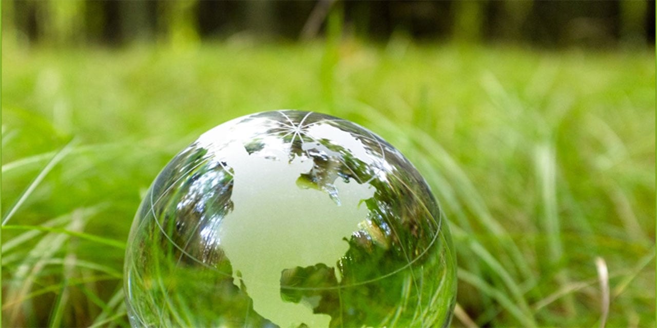 Glass globe placed on green grass.