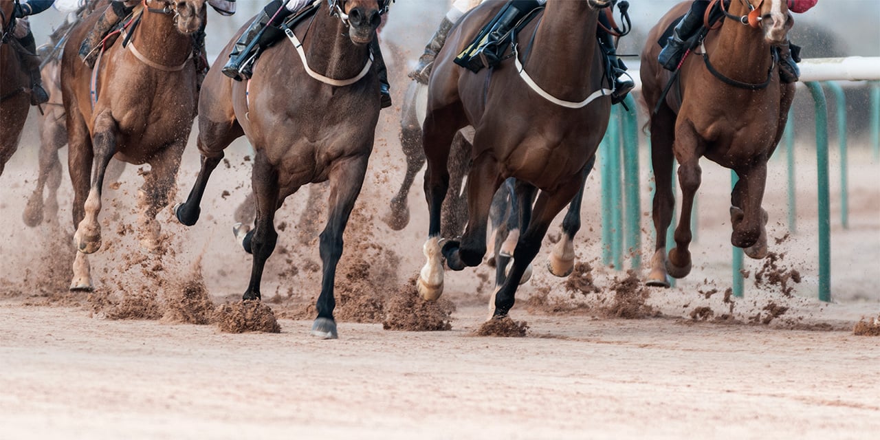 cropped photo featuring the legs and hooves of multiple horses running in track sand