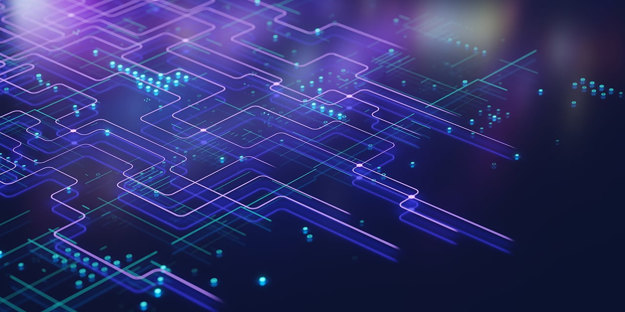 Purple network connections