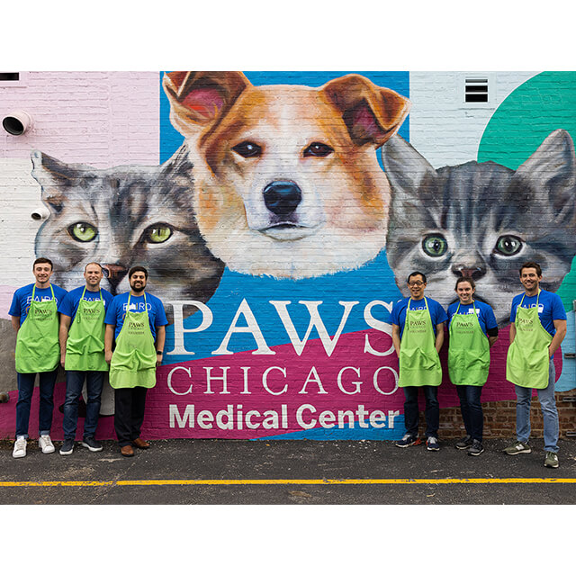 Six Baird associates standing in front of a painted wall with the words PAWS Chicago Medical Center, two cats and a dog.