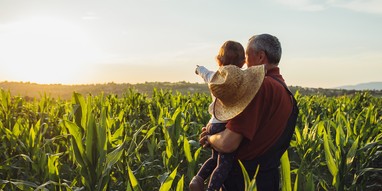 Man holding child while looking over a farm field.