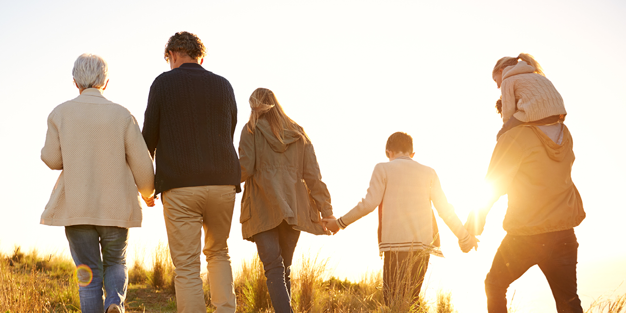 Family walking hand in hand in a field