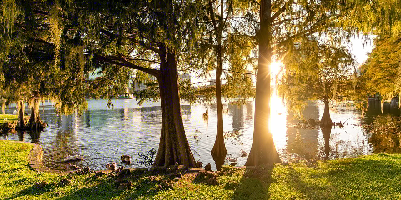 Tree lined lake at sunrise.