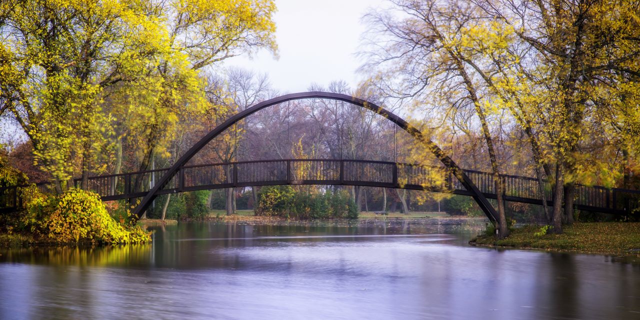 Arched bridge over a pond in a park surrounded by trees.