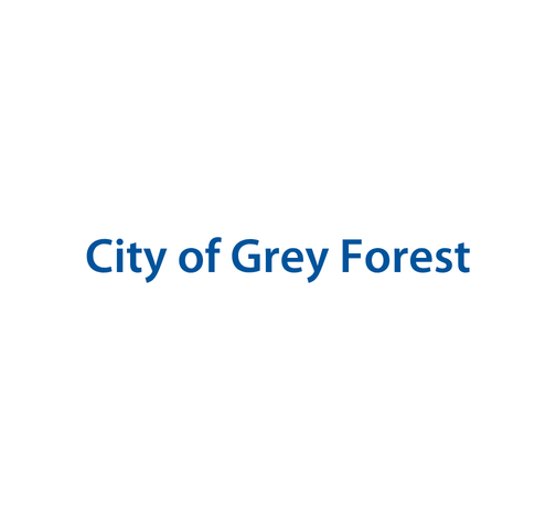 City of Grey Forest