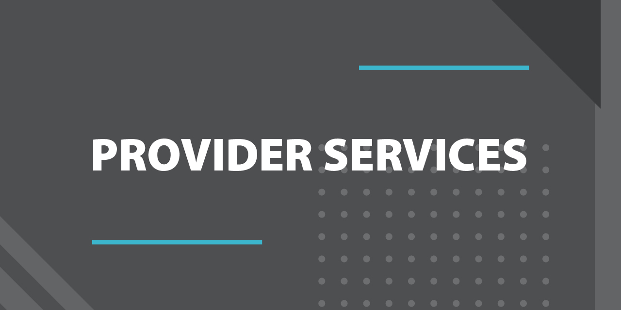 Provider Services